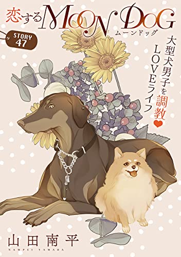 花ゆめAi 恋するMOON DOG story47