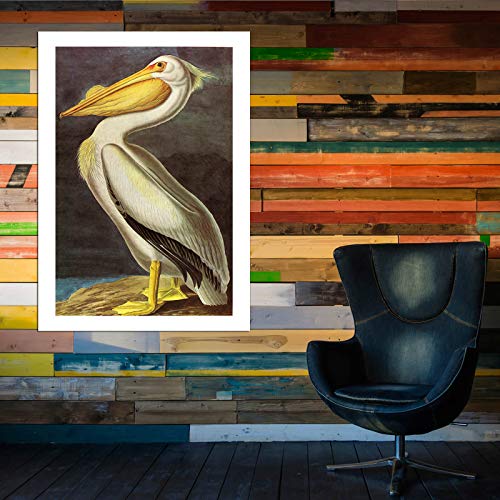 Impression d'art encadrée Pelican de John James Audubon format Grand Mat