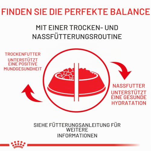 Royal Canin Expert Calm Trockenfutter | 4 kg | Alleinfuttermittel für ausgewachsene Katzen | Möglicher entspannender Effekt | Hydrolysiertes Milchprotein und L-Tryptophan