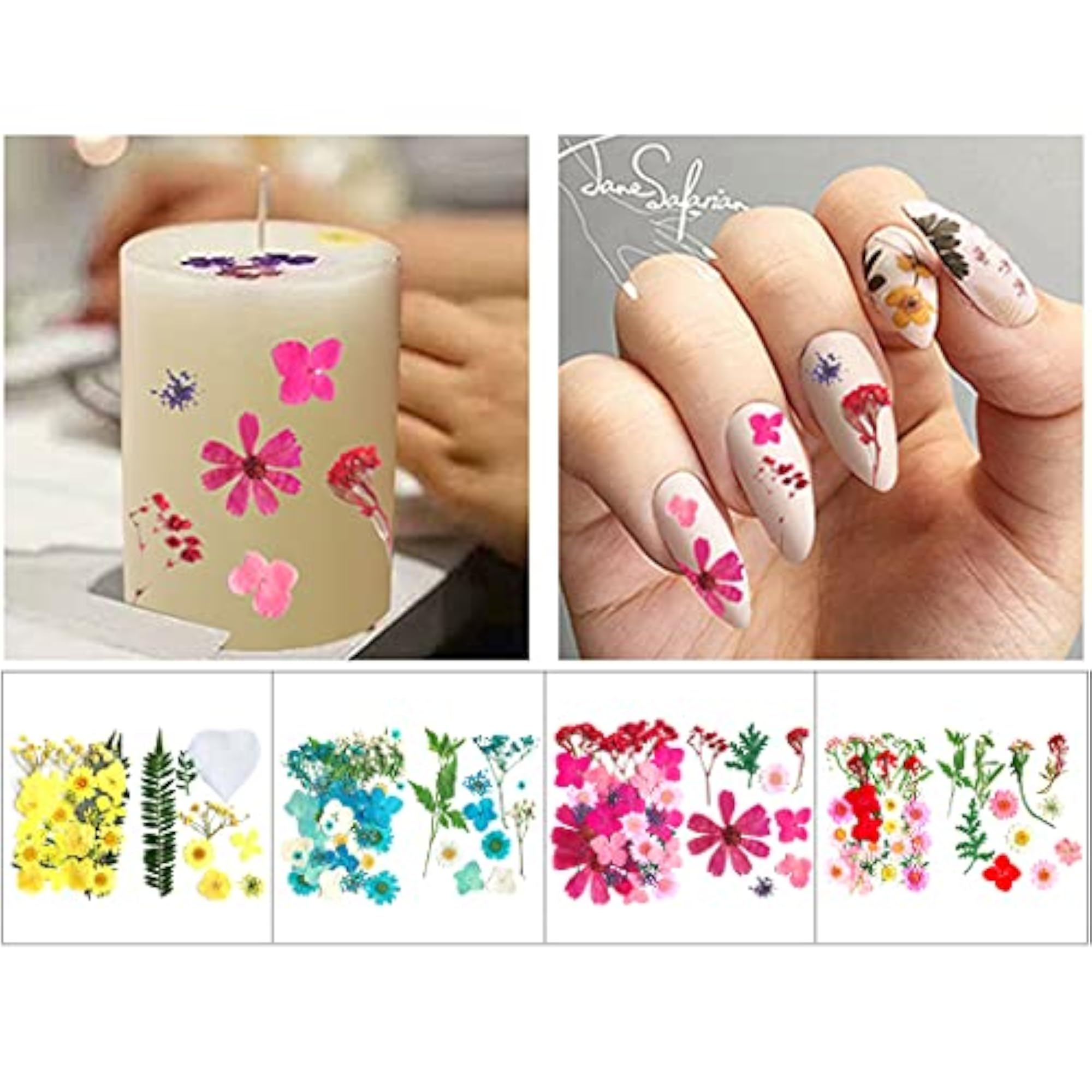 Real Dried Flower Set for DIY Craft Projects