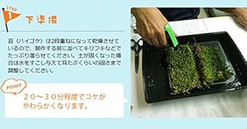 ★木製 苔玉育成鉢 吸水 傷あり a0470 ☆木製 苔玉育成鉢 吸水 傷あり a0470