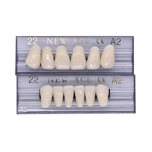 Miniatura 2 de 168 piezas dentales de resina sintética dental, 6 juegos de dientes falsos 22 A2 sombra superior inferior dental para dientes de terror de Halloween