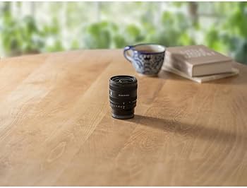 Amazon.com : Sony FE 24-50mm f/2.8 G Lens (Sony E) (SEL2450G) +