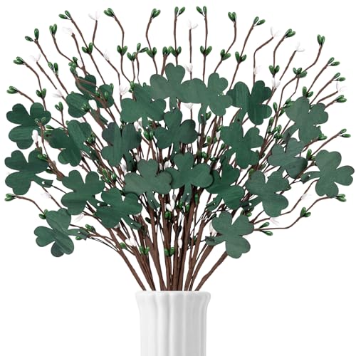 Eternity sky 20Pcs St Patricks Day Decorations...