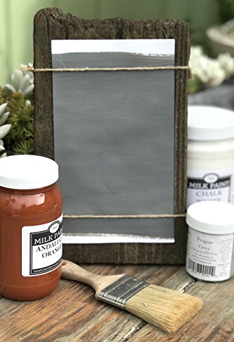 Sinopia All Natural Artisanal Milk Paint Payne's Grey for General Home Painting Projects with a Matte Finish (1 Gallon)