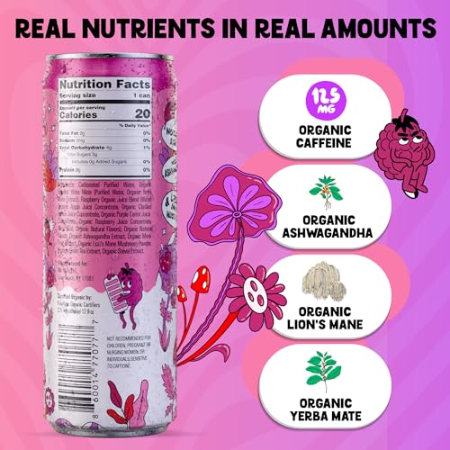Image of Yerba Mate Energy Drink - Low Sugar Sparkling Tea Cans with Ashwagandha, Lion's Mane, USDA Organic Clean Energy Drink with 125mg Natural Caffeine, Ola Mate Raspberry Bliss
