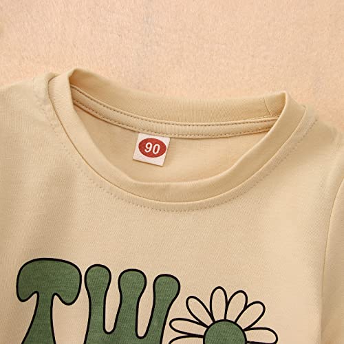 2nd Birthday Girl Shirt Funny Two Cute Letter Printed T Shirt 2 Year Old Second Sunflower Graphic Outfits Birthday Gift4