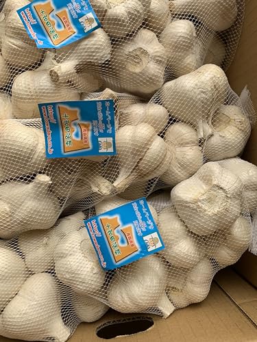 ɂɂ Ɩpɂɂ5kg MTCYCi XYzCgZЂɂɂ X ɂɂ Yɂɂ