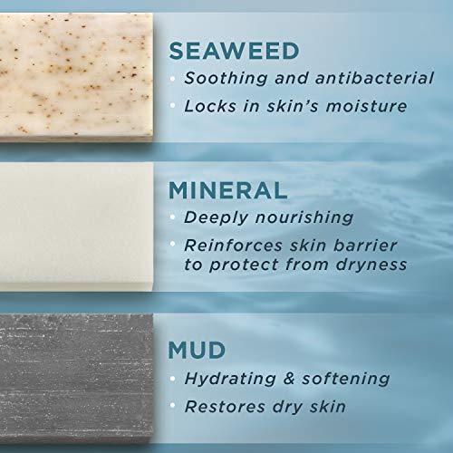 PraNaturals Dode Zee zeep - 70g Per Zeep - Ocean Infused Collectie – 3 Pak met Verschillende Smaken - van Nature Rijk… - Image 4