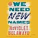 We Need New Names: A Novel