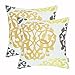 CaliTime Pack of 2 Cotton Throw Pillow Cases Covers for Bed Couch Sofa Vintage Compass Geometric Floral Embroidered 18 X 18 Inches Gold Yellow Gray