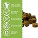 Schnüffelfreunde Gelenk Fit I Natürliche Gelenktabletten für Hunde zur Unterstützung der Knochen und Gelenke I Mit Grünlippmuschel, MSM und Kurkuma (150g - ca. 180 Stück)