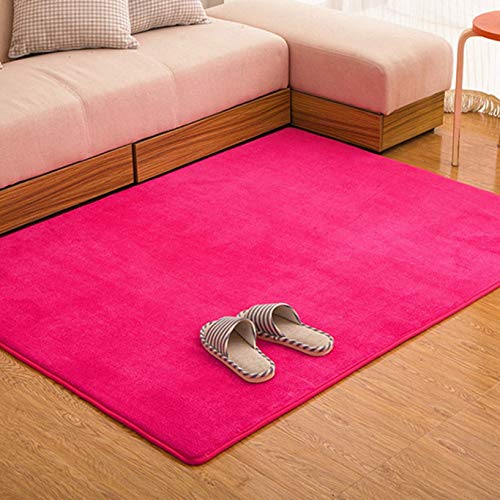 PVTKO}bg Ɍᔽ Չh ~ k I[V[YΉiH~Kj ԂELbYEqp ` 160*230cm 3 i3 jΉ J[ybgO~イ (80*200,5)