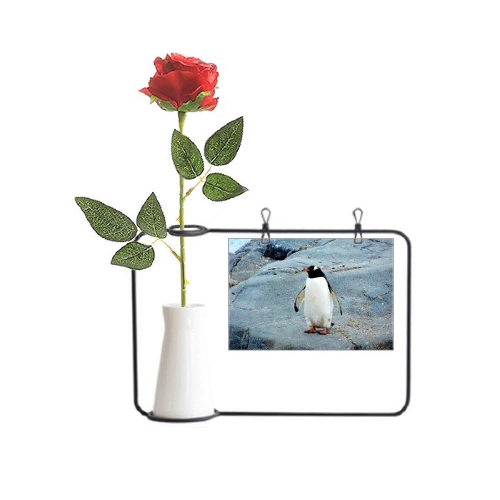 Vase décoration bouteille avec rose artificielle style antarctique
