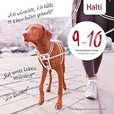 HALTI No Pull Anti-Zug Geschirr - Verhindert, dass Ihr Hund an der Leine zieht, Gepolsterter Brust- und Beingurt, Reflektierendes Gurtmaterial, Einfache Anpassung und Benutzung (Größe L, Walnussbraun)