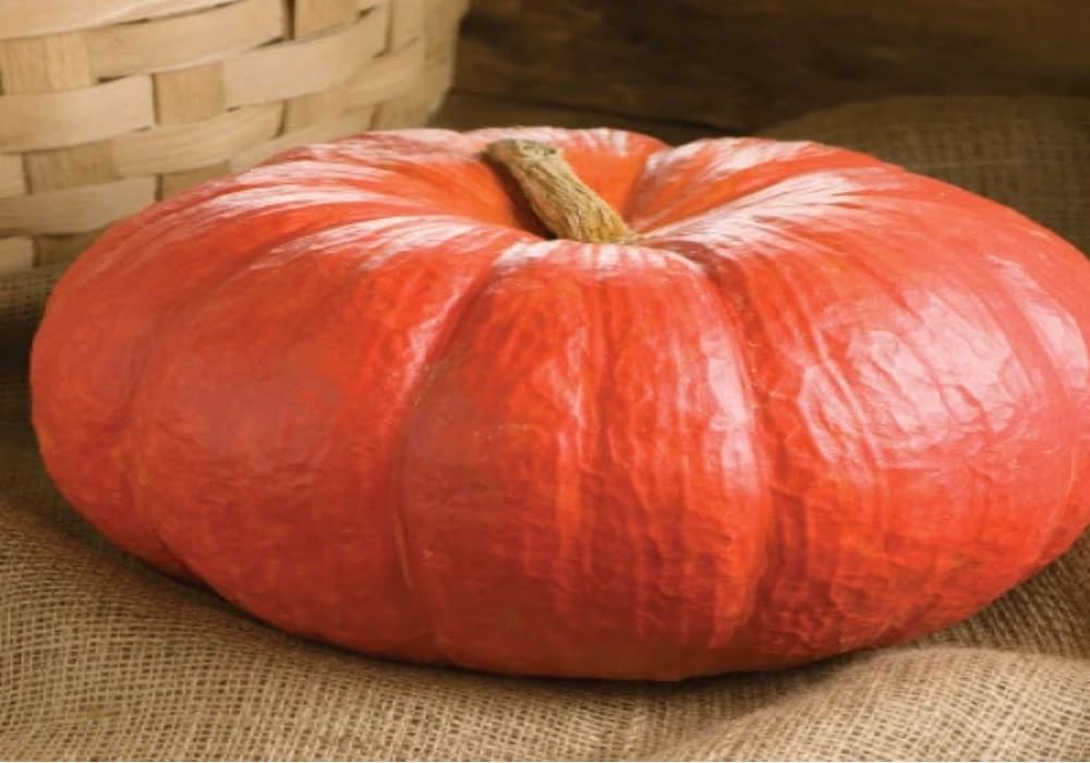 FreshToHome Pumpkin Red (Small) 500g (India)