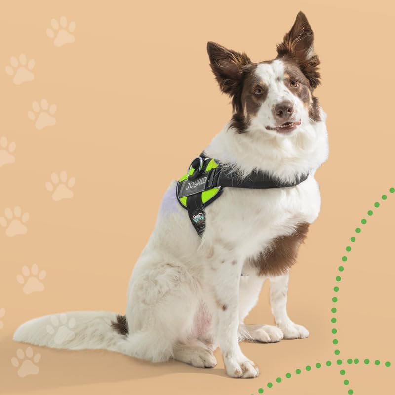 Miniatura 8 de Joyride Harness Arnés para mascotas sin tirones con etiqueta de nombre personalizable, logotipo que brilla en la oscuridad, 3 anillos laterales para