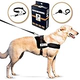 Padded Dog Harness Set: No More Struggling! Easy & Full Control With a Durable No-Pull Harness, Comfortable for Your Pet, Black - Large. Reflective & Washable. Includes a Leash and a Car Seat-Belt