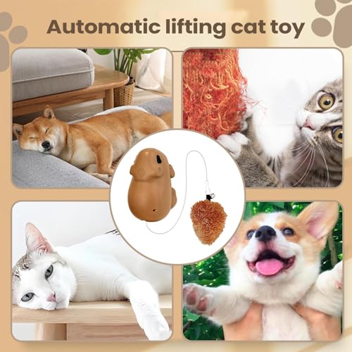 Chats actifs à la maison grâce au teaser électrique rechargeable - 5