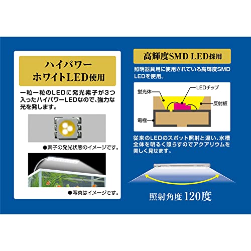 ジェックス GEX クリアLED エコリオアーム パワー ホワイト の商品画像 2