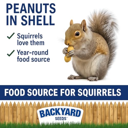 CountryMax Backyard Seeds Peanuts in Shell – Premium in-Shell Peanuts for Birds, Squirrels & Wildlife, Natural USA-Grown, 5 LB Bag, Non-GMO Animal Feed - Thumbnail 5