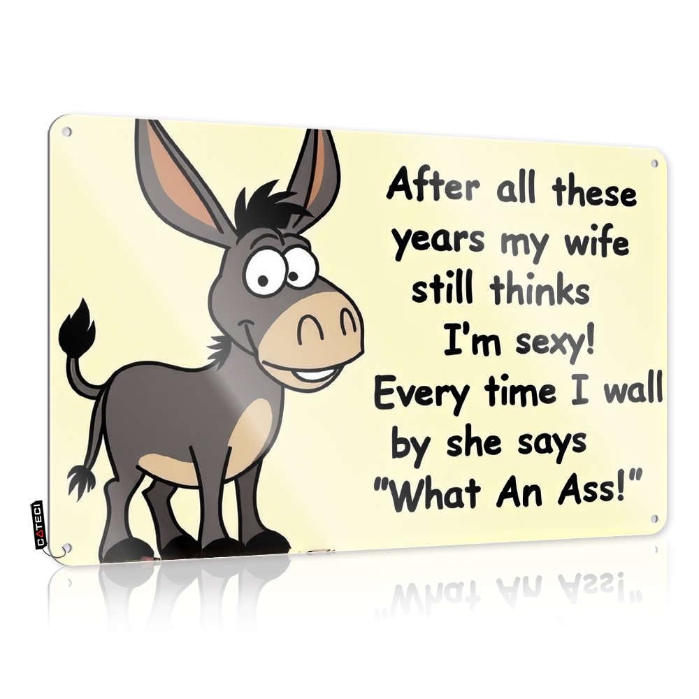 Funny Tin Signs Vintage Donkey With Caption: After All These Years My Wife Still Thinks I'M Sexy Tin Sign Decaor Sign Tin Signs(30X40CM)