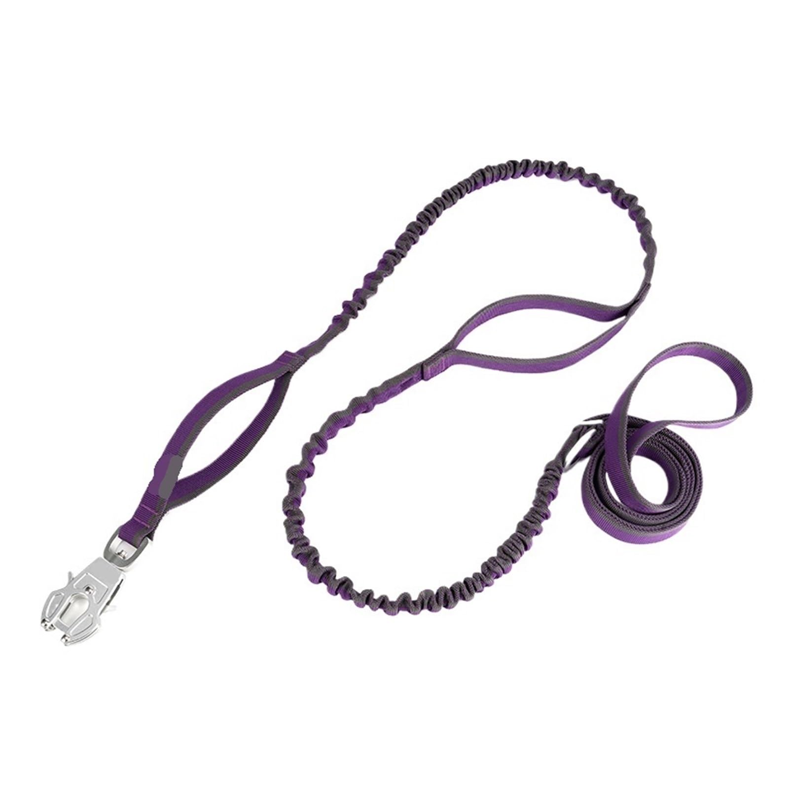 Laisse tactique pour chien violette M étanche avec clip grenouille de 2m