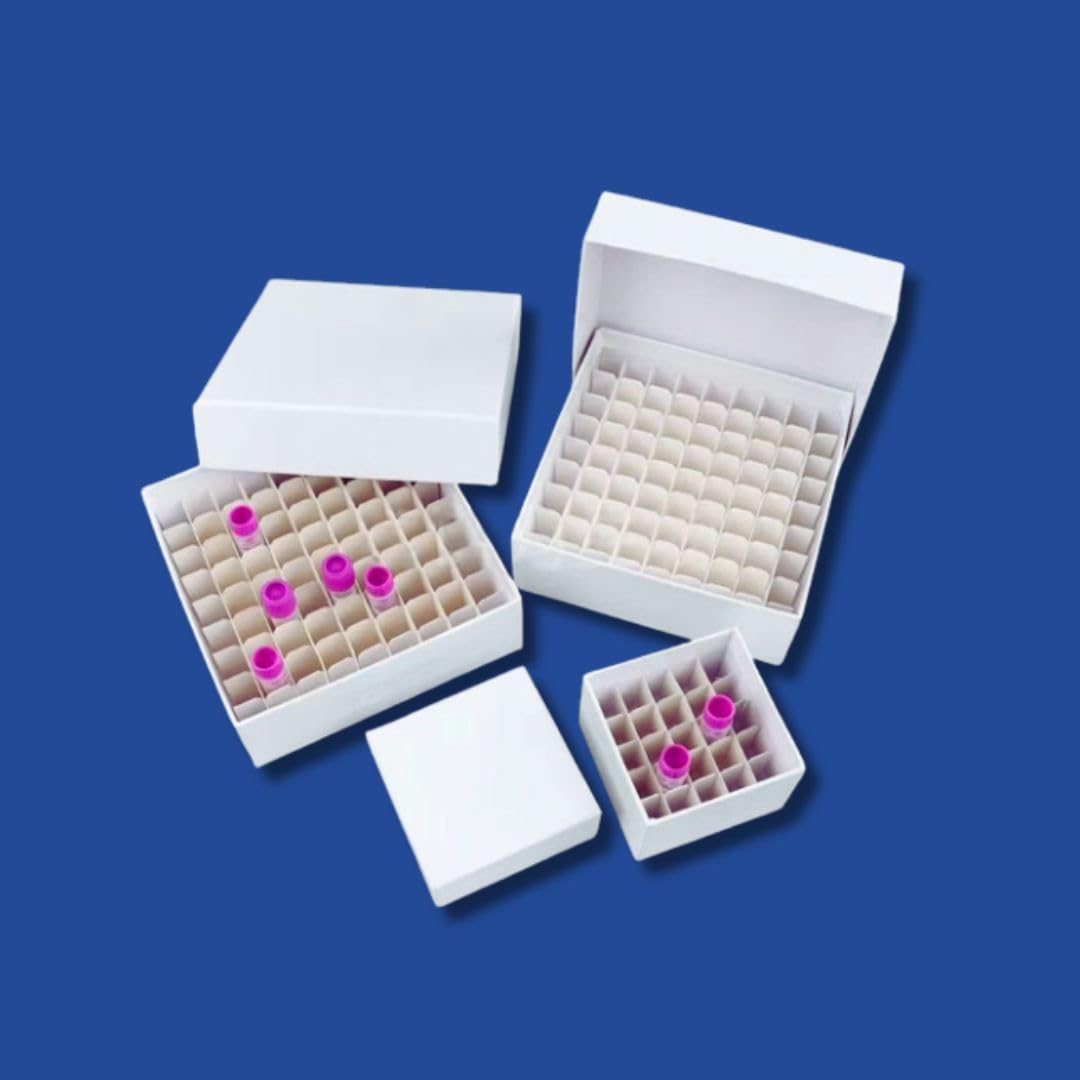 Kasablanka Cryo Box Cardboard 100 places Pack of 4