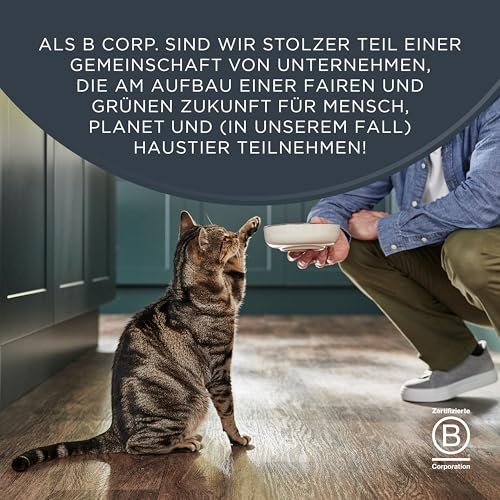 Encore 100% natürliches Premium Nassfutter für Katzen, Thunfischfilet mit Shrimps in Brühe für erwachsene Katzen - Packung mit 16 x 70g Dosen
