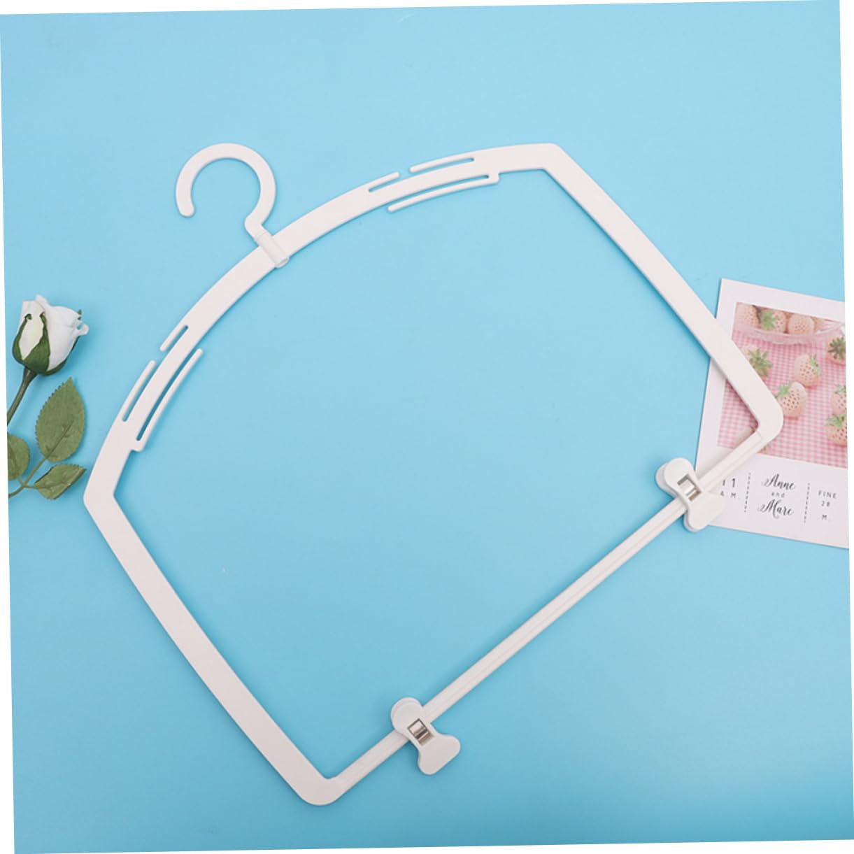 LALADEFIEE 5pcs Bikini Hanger Briefs Display Organizer for Swimwear Trunks Hooks Elegant Store Decoration for Swimsuit Showcasing