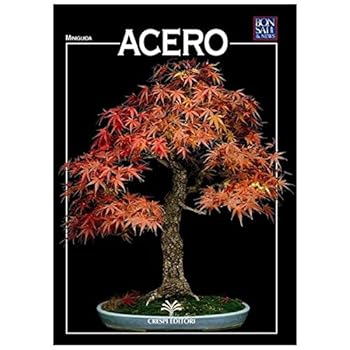 Paperback Acero [Italian] Book