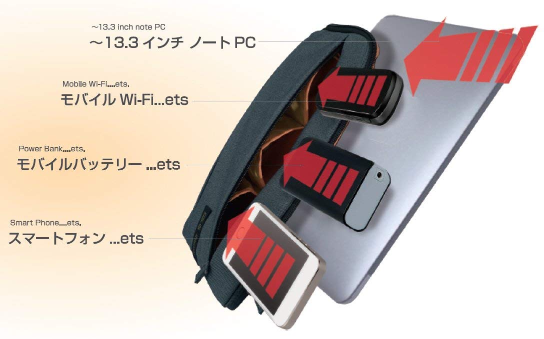 Amazon.com: ナカバヤシ(Nakabayashi) Digio2 Z2734 Laptop Case for