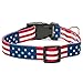 American Flag Dog Collar in 5 Different Sizes Classic (Large)