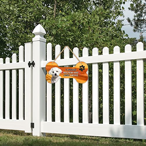Image of CVANU Laser Cut MDF Wooden Cute Puppy Sign Plaque Bone Design A Spoiled WALTESE DAG Lives Here Animal Love Sign Board, Name Plate for Dog House White, Size(10x5) inch