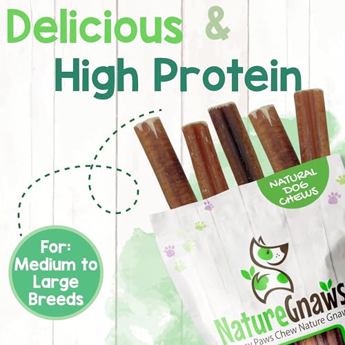 Image of Nature Gnaws Large Bully Sticks for Dogs 11-12 inch (10 Count) - Thick Long Lasting for Aggressive Chewers and Large Dogs - Natural Beef Dog Chew Bones