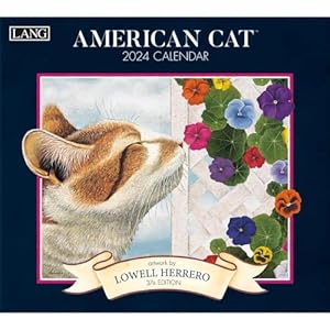 Lang Amerikanische Katze 2024 Wandkalender
