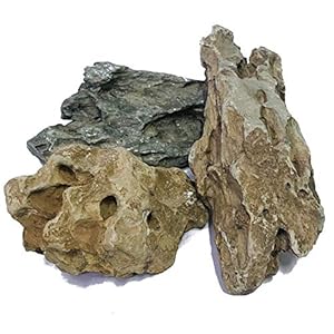 Natural Stone Aquarium Decoration 4.4 lb Dragon Stone Rock Mixed Sizes for Micro Landscape Fish Tank Decor