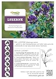 Bio Luzerne Cobs, WiesenGold® Bio Luzerne Pellets/Cobs (10kg) – Premium Pferdefutter, die natürliche Proteinquelle für Tiere, Melassefrei, ohne Zuckerzusatz, staubfrei