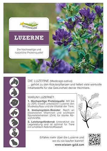 Luzerne Cobs Bio, WiesenGold® Bio Luzerne Pellets/Cobs (20kg) – Premium Pferdefutter, die natürliche Proteinquelle für Tiere, Melassefrei, ohne Zuckerzusatz, staubfrei
