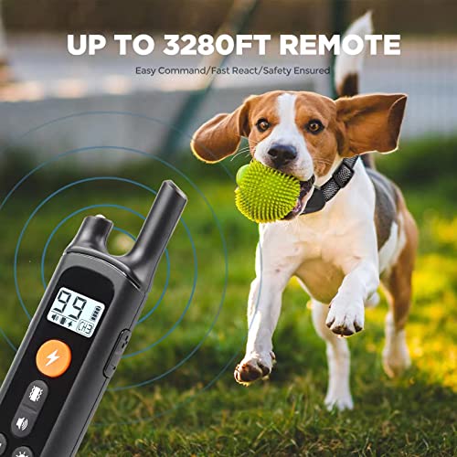 Qualitätsware,Klassisches,Sichere verstellbare Hundehalsbänder，universell für große und kleine Hunde，Leicht zu tragen，Klassisches Hundehalsband，Robustes und langlebiges Hundehalskette… (zx1)