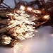612 Vermont 100 Clear Mini Christmas String Lights on Brown Wire Cord, UL Approved for Indoor/Outdoor Use, 18 Foot of Lighted Length, 20 Foot of Total Length (Pack of 2)