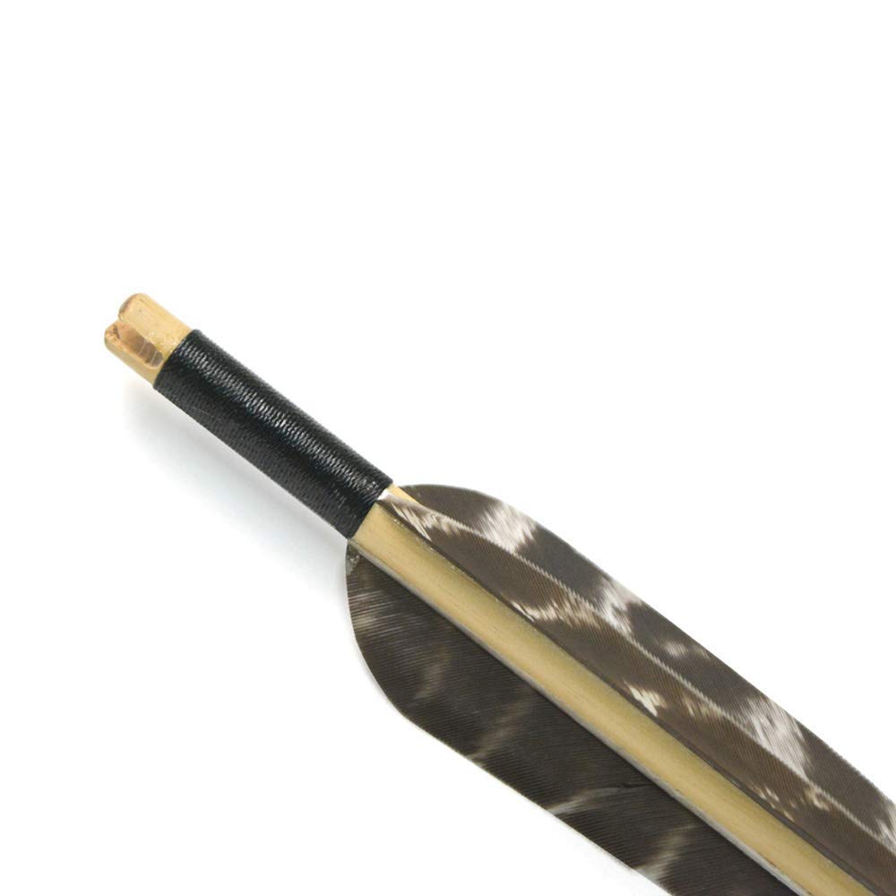 12 Flèches Tir à L'Arc En Bois 31 Pouces - Plumes Naturelles 5" - Pour Arc Recurve Et Longbow