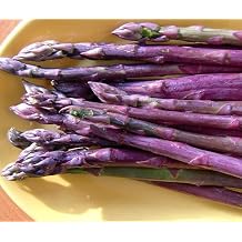 Purple Passion Asparagus 25 Roots - Heirloom/No GMOs