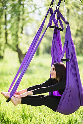 Aerial Yoga Swing Set - Yoga Hammock Aerial Swing - Aerial Sling Inversion Fly Kit - Flying Yoga Inversion Tool - Antigravity Ceiling Hanging Yoga Sling - Adult Kids Arial Door Yoga Swing (Purple) #TOP1