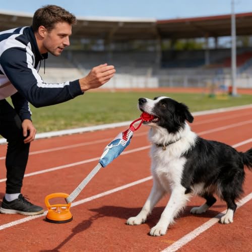 Jouet interactif pour chien à mâcher et soulager l'ennui - 3