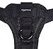 Amazon Basics Adjustable Dog Leash with Harness, Small (10-25 lbs.)