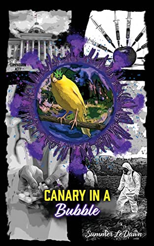 Canary in a Bubble view 2