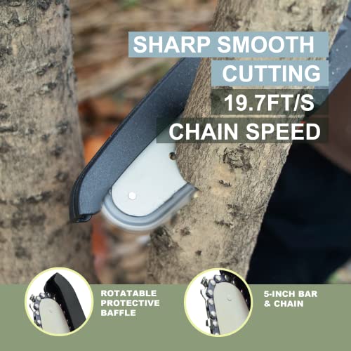 Cordless Pruning Shears, Electric Pruner With 7.5 Foot High Reach Extension Pole, Tool Belt, 2 Pack Lithium Batteries, Sk5 Blades, Lcd Display Screen (25V Shears & Chainsaw) #TOP7