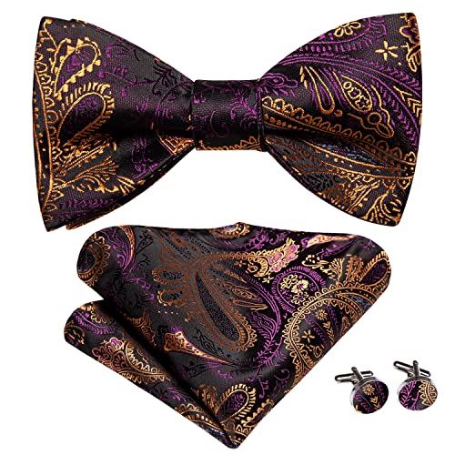 Image of Hi-Tie Mens Purple Gold Paisley Tie Selftie Bowties Silk Necktie Bow Tie Pocket Square Cufflinks Tie Clip 5Pcs Set Tuxedo Suit