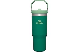 STANLEY IceFlow Tumbler: The Must-Have Water Bottle for Style and Function
